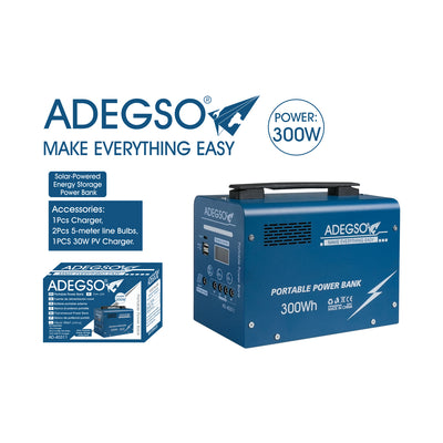 AKUMULATOR 300W AD-40311